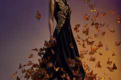 03.-Butterfly-Metamorphosis