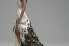 14.-Peacock-Feather-Genesis